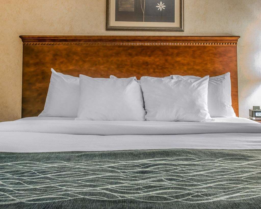 Quality Inn & Suites Coldwater Near I-69 Quarto foto